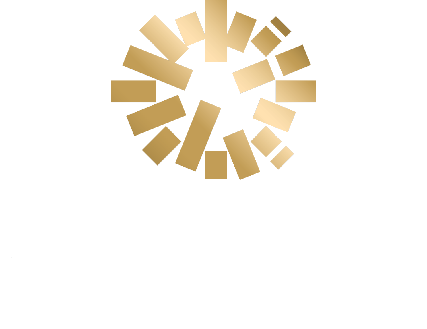 Reliance Electrical Group